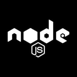 Node.js Developer