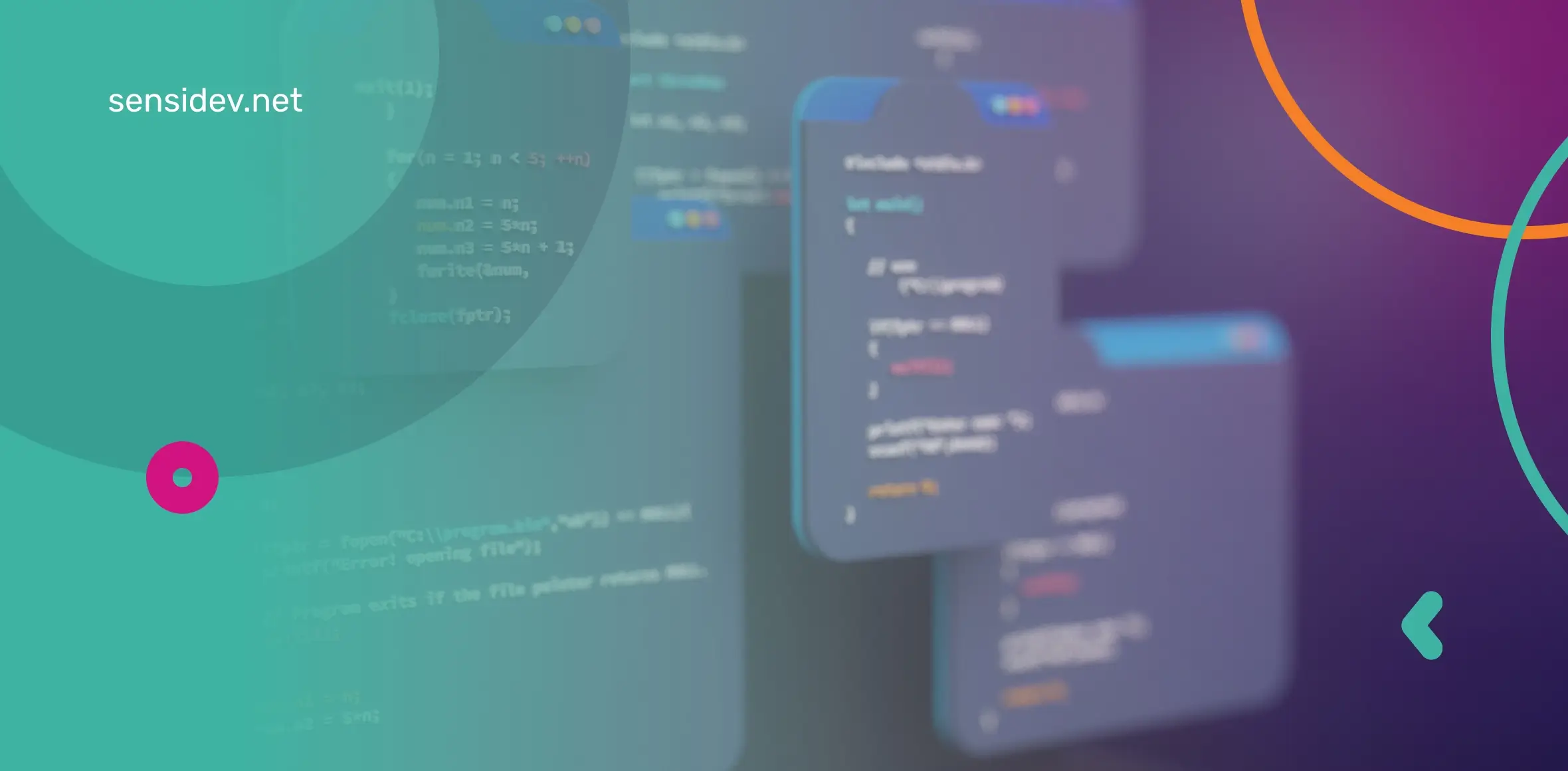 software development