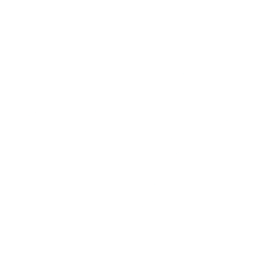 Node.js Developer
